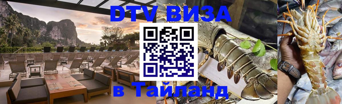 Сколько стоит DTV виза — актуальные цены, оформление даже без документов - Михайловск  18.11.2025 